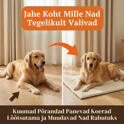 NordicPaw Koera Jahutusmatt