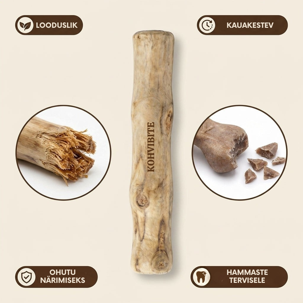 KohviBite™ Kohvipuu Närimispulk