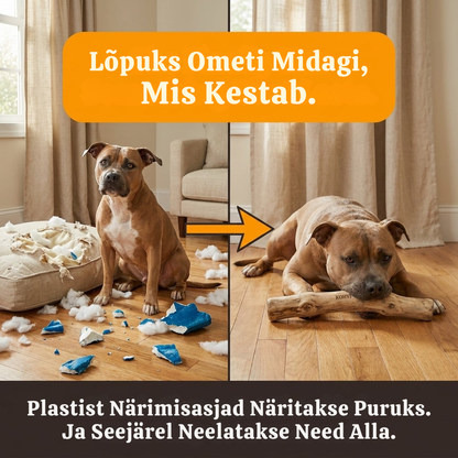 KohviBite™ Kohvipuu Närimispulk
