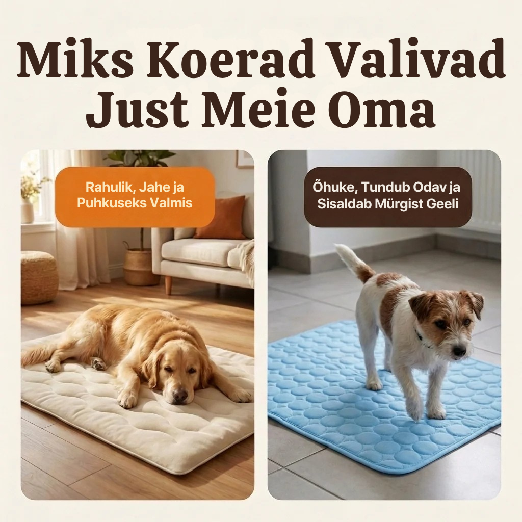 NordicPaw Koera Jahutusmatt